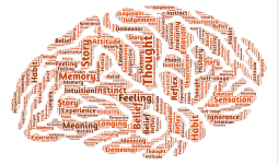 Modern learning theory models of anxiety disorders Modern learning theory models of anxiety disorders